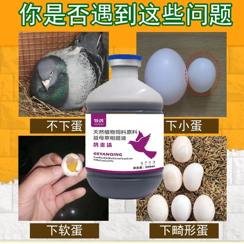 鸽炎清 消输卵管炎 减少沙壳蛋 促进消化 天然植物粗提 复购率高 到手价¥30.00