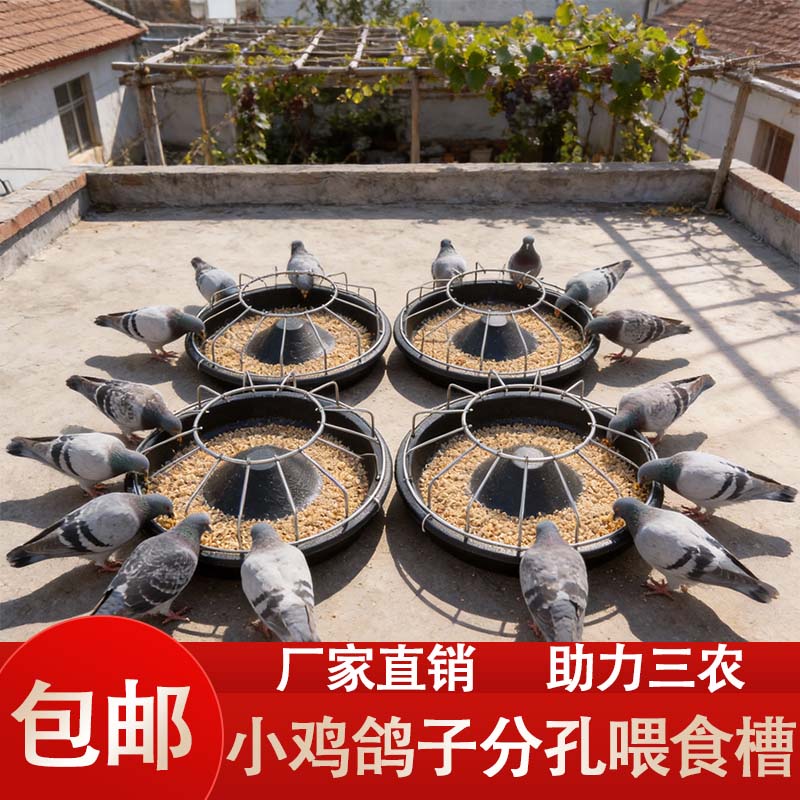 小鸡鸽子喂食器干湿两用小鸡喂食器芦丁鸡鸽子喂食神器 到手价¥4.64