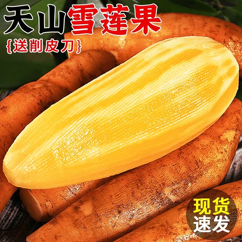 【推荐5斤】云南天山雪莲果新鲜水果当季现挖3/5/9斤大果包邮 到手价¥13.60