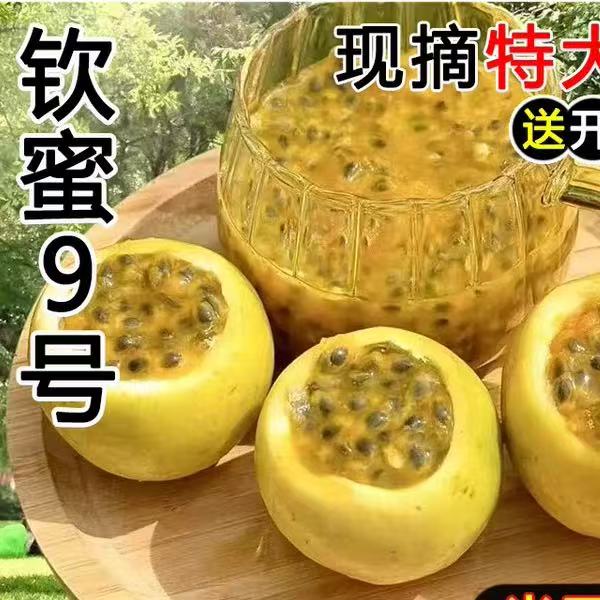【主播宠粉】广西正宗钦蜜9号黄金百香果新鲜优选水果产地直发CC 到手价¥9.90