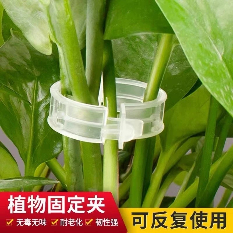 【园长推荐】果树绿植蔬菜固定卡扣捆绑藤蔓夹环扣植物夹扶蔓夹 到手价¥9.90