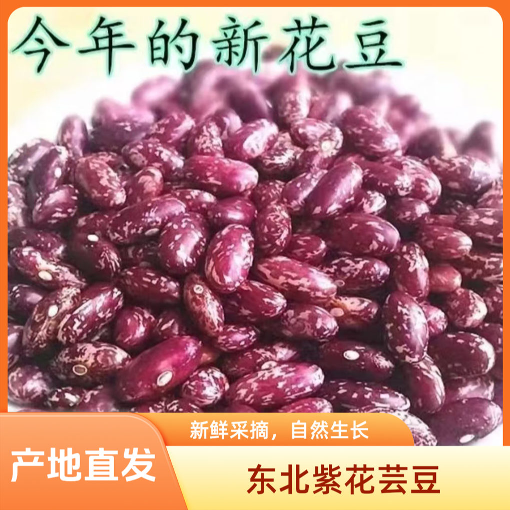 【东北2025年10月份新豆】新紫花芸豆饭豆腰豆五谷杂粮产地直发 到手价¥23.90