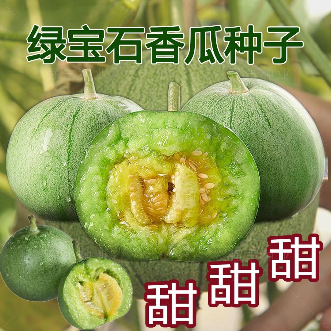绿宝石甜瓜种子薄皮超甜香瓜种子春季四季脆瓜早熟高产香瓜籽 到手价¥3.88