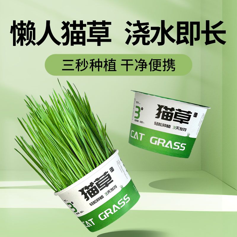 猫草盆栽小麦水培猫草种植懒人猫草罐头毛球片化毛草零食猫草种子 到手价¥2.89