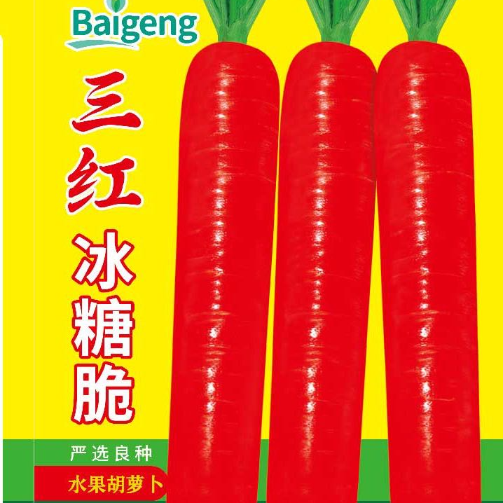 三红冰糖脆胡萝卜 图片 1