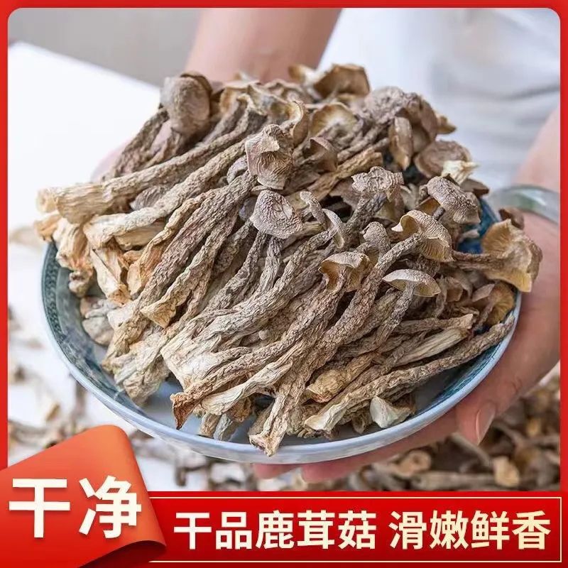 鹿茸菇精品装干货当季新菇蘑菇干菇新鲜脆嫩净重煲汤火锅食材批发 到手价¥17.90