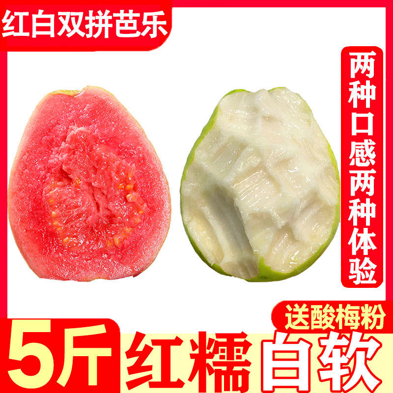 【红白混搭】现摘广西软心红心番石榴新鲜水果白心软芭乐3/5斤 到手价¥35.90