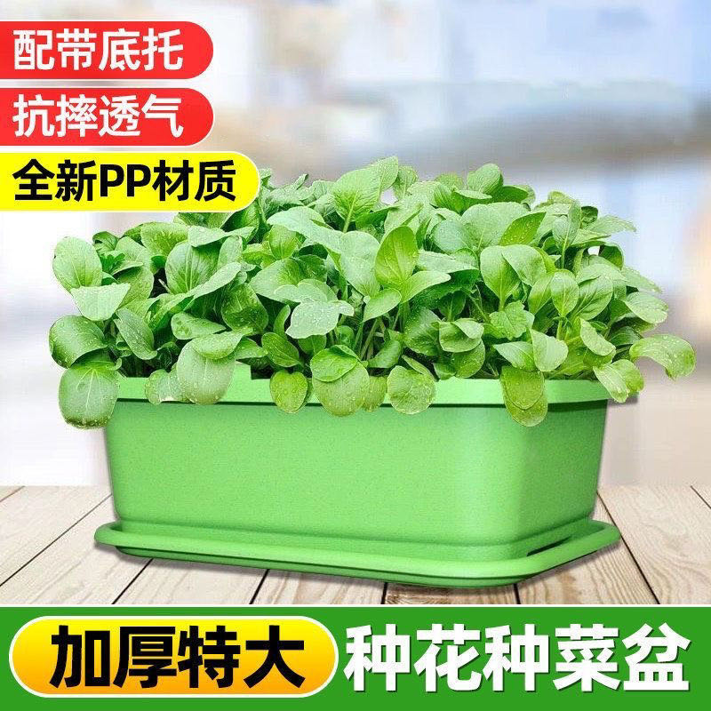 加厚阳台种菜盆长方形塑料盆家庭蔬菜专用盆种菜神器大号耐用花盆 到手价¥7.80