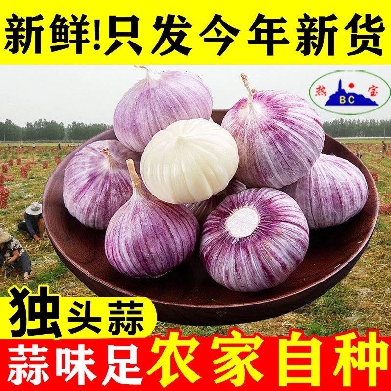 云南紫皮独头蒜现挖鲜蒜当季新蒜大蒜头糖醋蒜腊八蒜1/2/3/5斤 到手价¥10.50