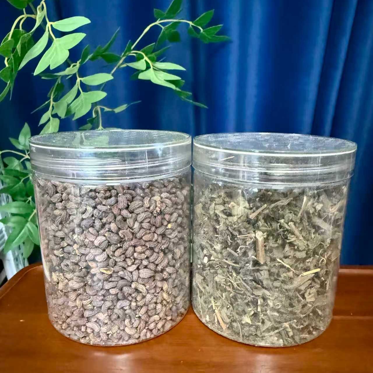 【6.9抢两罐】女贞子墨旱莲可搭配枸杞子女贞子旱莲草泡水泡茶 到手价¥6.90