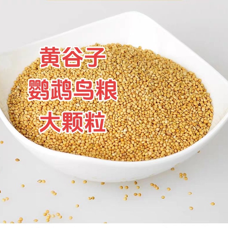 虎皮大头牡丹玄凤鸟粮纯谷子带壳小米黄谷子 到手价¥6.80
